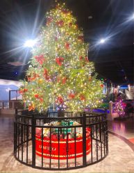 -幻贝家儿童乐园(温州银泰城店)