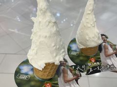 -野人先生Gelato(上海长宁龙之梦店)