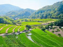 -小豆岛町