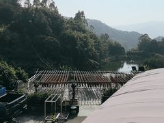 -天强农家菜馆