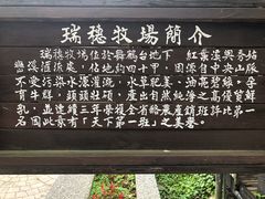 -瑞穗牧场