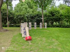 -陈家山荷花公园