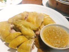 农家白切鸡-黄但记老店·陈村粉食府