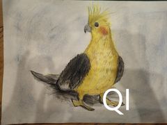 -东方童画少儿美术(金桥体验馆)