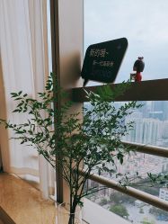 -JNK皮肤管理中心