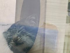 -青藏高原野生动物园