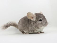 -龙猫仔乐园(惠福东路店)