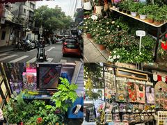-溪岸路花鸟市场