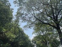 -南京金牛湖风景区