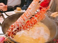 花竹虾-鲜入围煮花胶鸡海鲜火锅