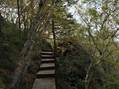 -白草畔自然风景区