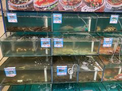 水产区-琼大师东方烤乳猪(亚特兰蒂斯店)