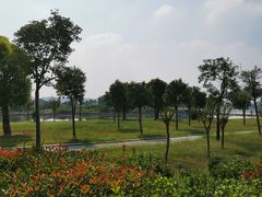 -郑东新区龙湖公共艺术中心