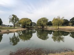 -旭宝高尔夫俱乐部