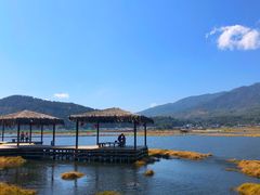 -腾冲北海湿地