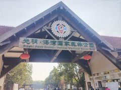 -上海海湾国家森林公园