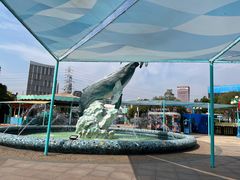 -海合安武汉极地海洋公园