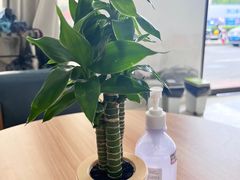 -赫尔森口腔·牙齿种植修复