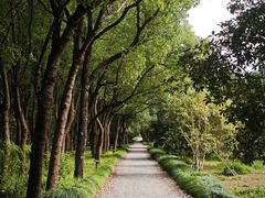 -嘉北郊野公园