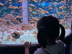 -海合安成都极地海洋公园