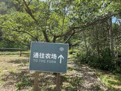 -北京山里寒舍度假酒店