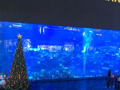 -成都浩海立方海洋公园