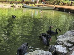 -大理苍山石门关旅游度假区