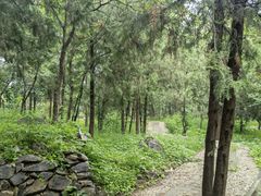 -阳台山自然风景区