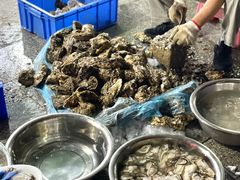 -花苑美食横琴生蚝火锅(拱北粤华路店)