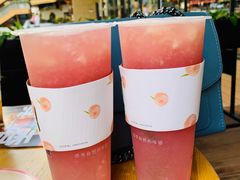 -树夏(鹭洲里店)