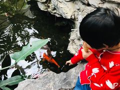 -白天鹅宾馆·流浮阁咖啡厅