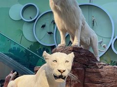 -陕西自然博物馆