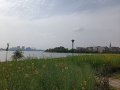 -九龙湖公园