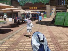 -苏州乐园森林水世界