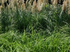 -仙海旅游度假区