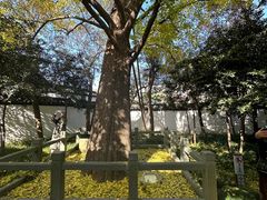 -上海醉白池公园
