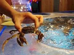 -焰江山海鲜牛排烤肉自助(锦华万达二星店)