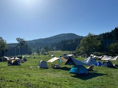 -武陵山森林公园