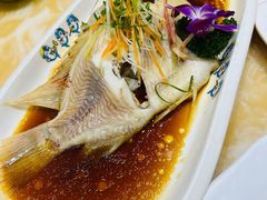 清蒸红宝石鱼-小海豚•老字号海鲜餐厅(天涯店)