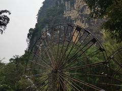 -明仕田园