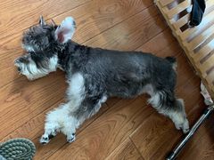 -佳雯宠物医院(金华南路分院)