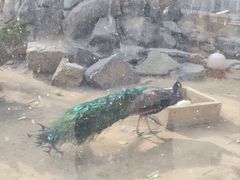 -水绘园