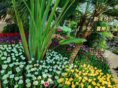 -石家庄市植物园