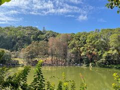 -深圳仙湖植物园