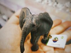 -永旺梦乐城国际商城(北清路店)