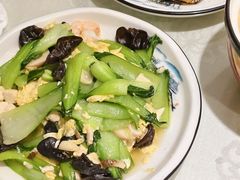 -陶然饺子城(奥体中路店)