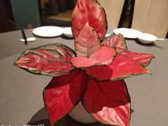 -天府掌柜(九眼桥店)