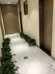 -王妃SPA·美容·科技抗衰