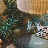 绿色家居~小户型绿植搭配清新怡然之家[吐][吐]