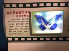 -上海昆虫博物馆